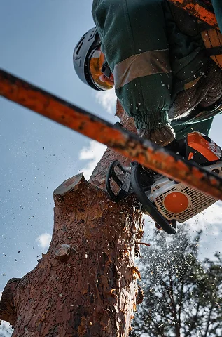 Arborist cutting a tree trunk with a chainsaw