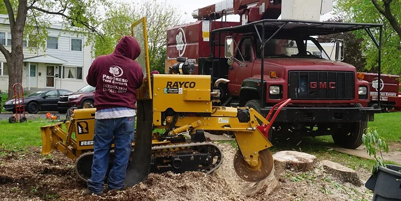 Tree service worker operating a stump grinder beside a company truck