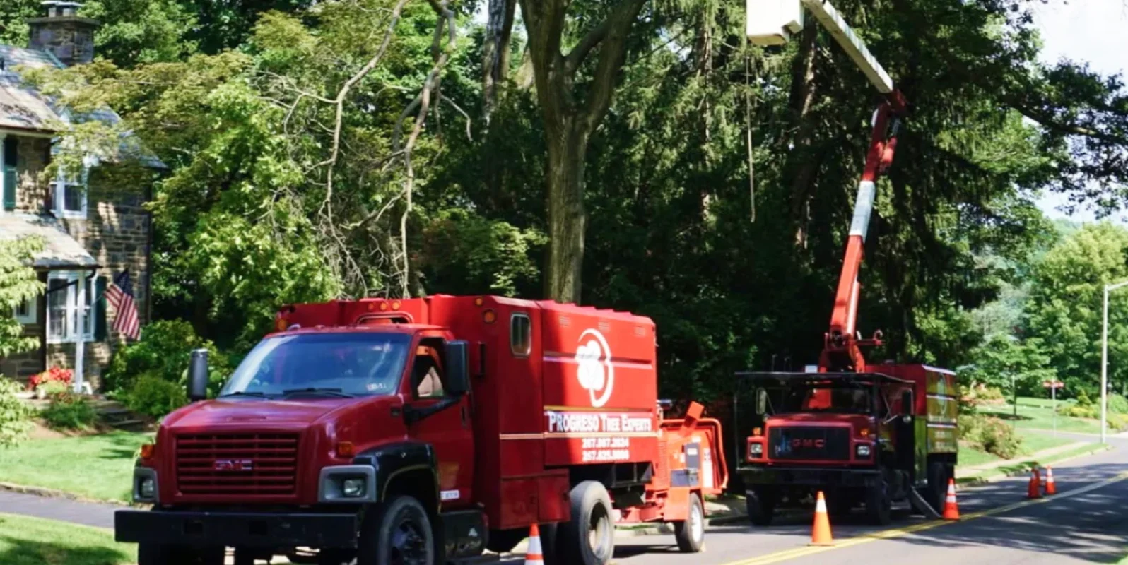Progreso Tree Experts truck and aerial lift working beside a residential tree.