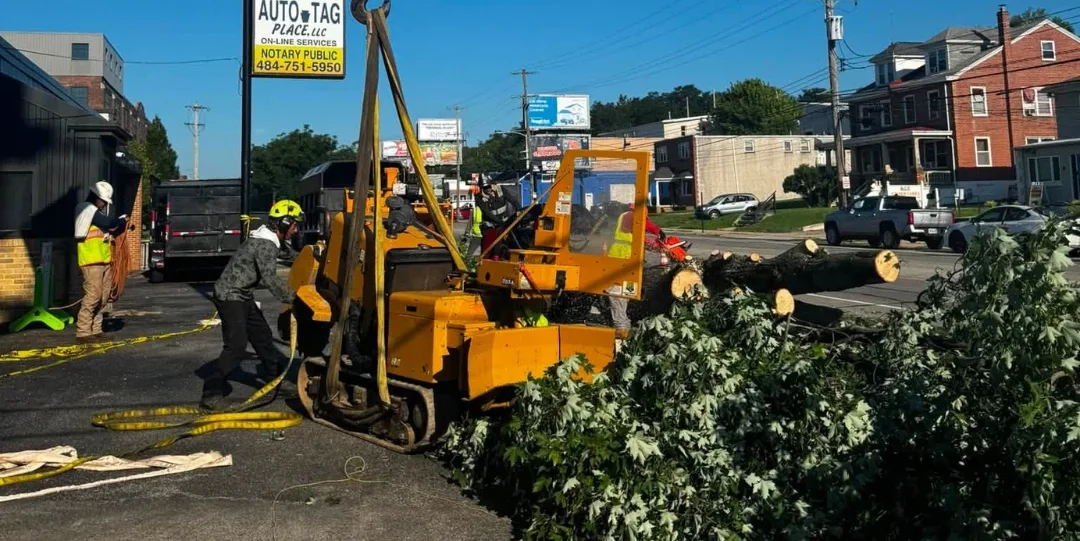 Progreso Tree Experts vehicles and equipment.
